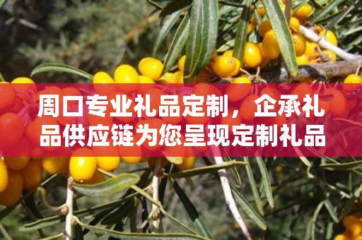 周口专业礼品定制，企承礼品供应链为您呈现定制礼品的极致体验