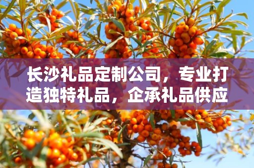 长沙礼品定制公司，专业打造独特礼品，企承礼品供应链卓越服务
